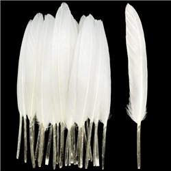 Khoki Art Supplies - Long Feathers (50 Assorted colours)