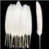 Khoki Art Supplies - Long Feathers (50 Assorted colours)