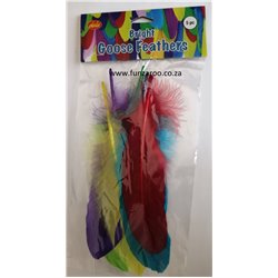 Dala - Feathers - Goose Bright Colours (5pc)