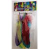 Dala - Feathers - Goose Bright Colours (5pc)