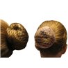 Bun Hair Net - Ballet Pink / Brown