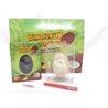 Novelty Easter Dinosaur Excavation Egg Kit