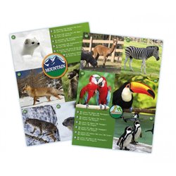 Buki - Nature - Maxi Binoculars