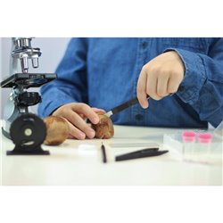 Buki - Science - Microscope x200 / x600 / x1200 (metal base, 30 experiments)