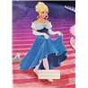 Marlin - A4 Cinderella Book Covers + Plastic Slip On Covers (5 Pack)