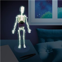 Buki Human Body (12 Experiments)