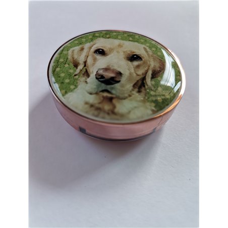 Labrador Lip Balm (7g)
