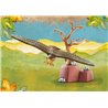 Playmobil Wiltopia - Eagle