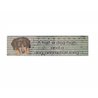 Dachshund Wooden Ruler (15cm)