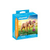 DuoPack Girl with Pony