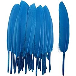 Khoki Art Supplies - Long Feathers (50 Assorted colours)