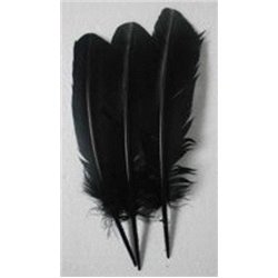 Khoki Art Supplies - Long Feathers (50 Assorted colours)