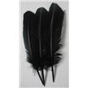 Khoki Art Supplies - Long Feathers (50 Assorted colours)