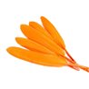 Khoki Art Supplies - Long Feathers (50 Assorted colours)
