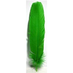 Khoki Art Supplies - Long Feathers (50 Assorted colours)
