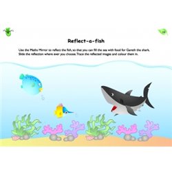 Greenbean Learning - Maths Mirror Activity Cards