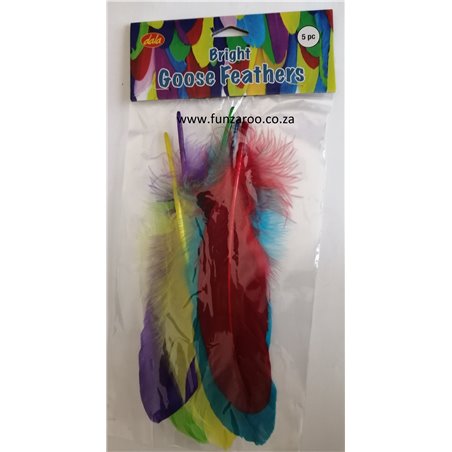 Dala - Feathers - Goose Bright Colours (5pc)
